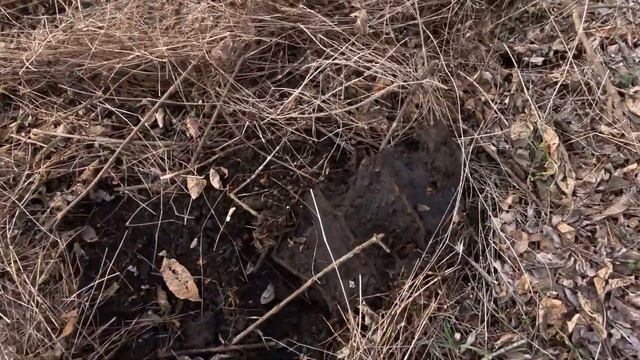 КОП ВТОРСЫРЬЯ? (МЕТАЛЛА) ПРИЯТНЫЕ НАХОДКИ 25.01. 2023 смотреть онлайн