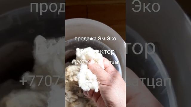 как правильно мыть шерсть смотреть онлайн