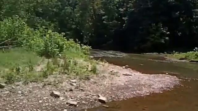 Mt Morris PA Dunkard Creek Fishing REVISED смотреть онлайн