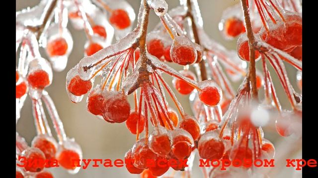 рябина у крылечка раскраснелась смотреть онлайн