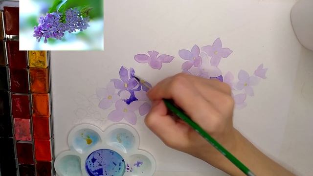 Как нарисовать ветку сирени | Рисуем сирень акварелью #рисуемсирень #веткасирени #сирень смотреть онлайн