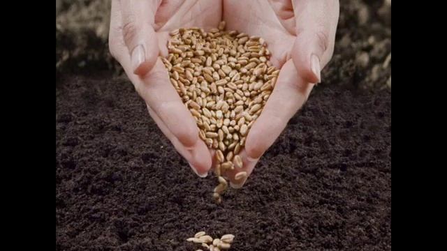 Слово есть семя (автор стиха Виктор Еремин) смотреть онлайн