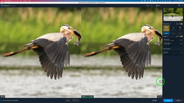 TOPAZ GIGAPIXEL AI plus LIGHTROOM CLASSIC/TOPAZ DENOISE AI/TOPAZ SHARPEN AI (Extreme Cropping Tips) смотреть онлайн