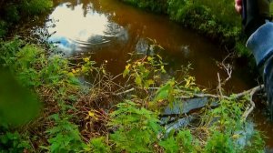 #12 • Ловля плотвы тенкарой на муху на маленькой лесной речке. Рыбалка в Подмосковье