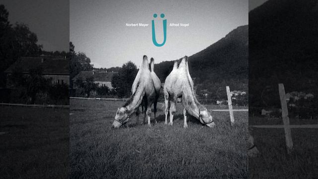 Was Git As Nüs? смотреть онлайн