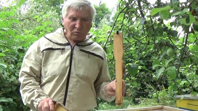 Как Собрать Качественный Мед? Рецепт Пчеловода Василия Приятеленко. смотреть онлайн