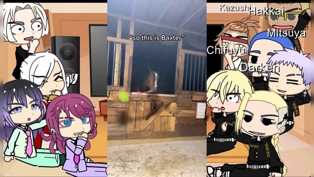 Tokyo revengers react to takemichi as random tiktok animals pet [Part 2] смотреть онлайн