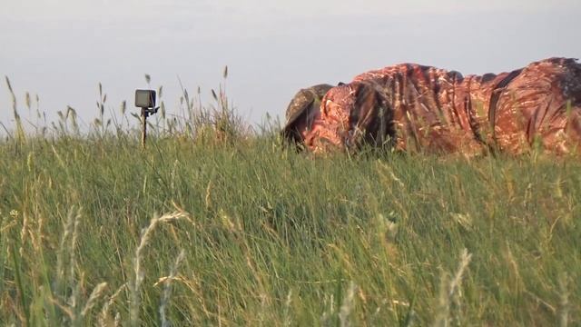 ГЛАДКОСТВОЛ НА СУРКА? ВЕСЬ СЕЗОН В ОДНОМ РОЛИКЕ. ОХОТА НА СУРКА 2022 года. смотреть онлайн