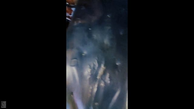 Цена зарплаты в 100.000 тыс.гривен смотреть онлайн