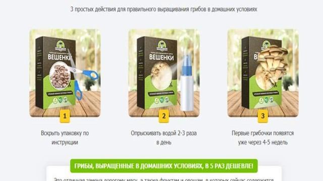 вешенки грибница смотреть онлайн