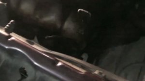 Как снять коробку робот opel corsa c, взведение сцепления.