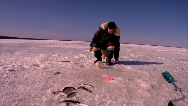 И снова кунжа ловится подводная сьёмка 26 Марта 2021 год смотреть онлайн