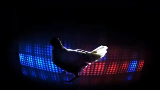 дискотека у курицы смотреть онлайн