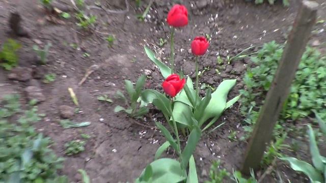 29 апреля) 2013 , вид из окна на Весну) смотреть онлайн