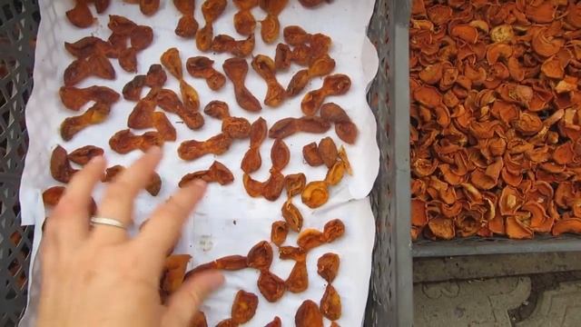 Фотография Архитектуры