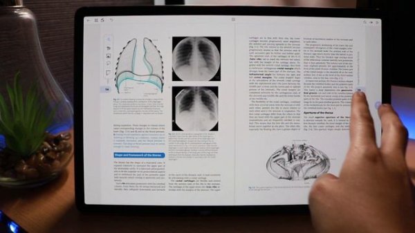 Flexcil Note Taking + PDF Reader App Review | Tab S7+ Demo | Med Student