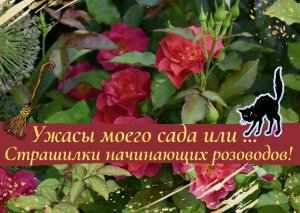 Ужасы моего сада или...Страшилки начинающих розоводов!