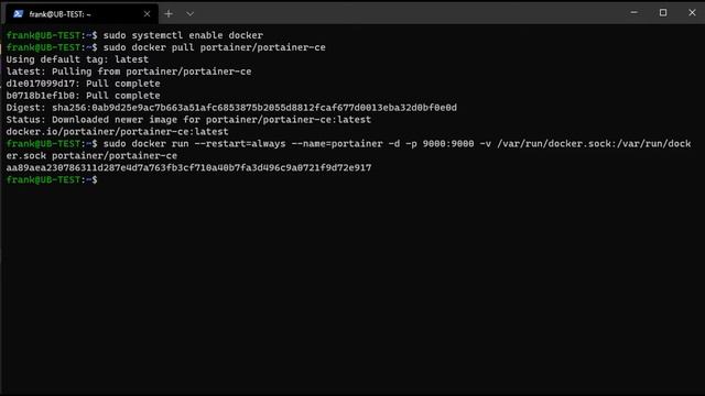 How to Install Docker & Portainer 2.0 on Debian Distros (Ubuntu, Linux Mint)! смотреть онлайн
