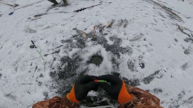 Зимняя рыбалка на судака 5 смотреть онлайн