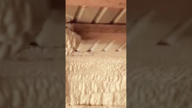 spray. ППУ. Утепление смотреть онлайн