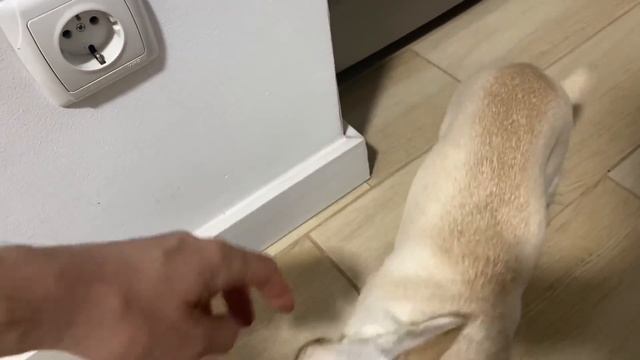 VLOG ДАЖЕ НЕ ЗНАЮ ЧТО С НАМИ БУДЕТ смотреть онлайн