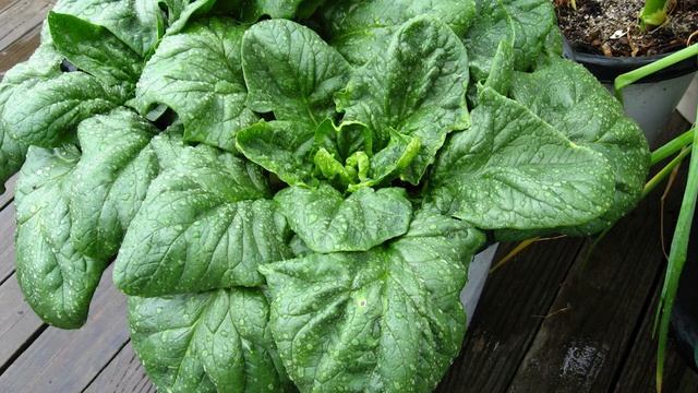 ТОП 9 ПРОДУКТОВ ПРОТИВ СТАРЕНИЯ / КАК ВЫГЛЯДЕТЬ МОЛОЖЕ смотреть онлайн