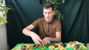 Улитки Ахатины / 2022 / Обзор