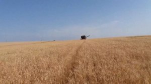 Комбайн Нива СК 5 уборка озимой пшеницы 2-й день
