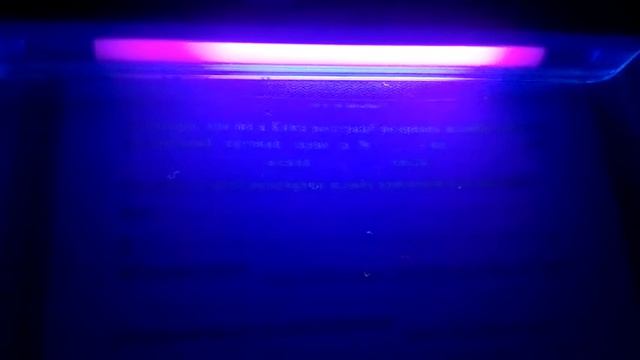 Свидетельство о расторжении брака (разводе) Украины от 2006 года под ультрафиолетом.