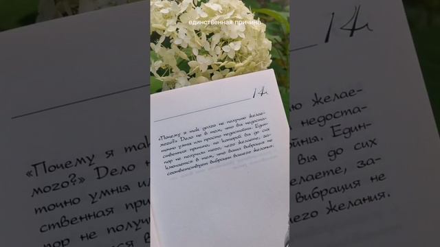 #навстречу_мечте день14
Наши вибрации притягивают нашу реальность