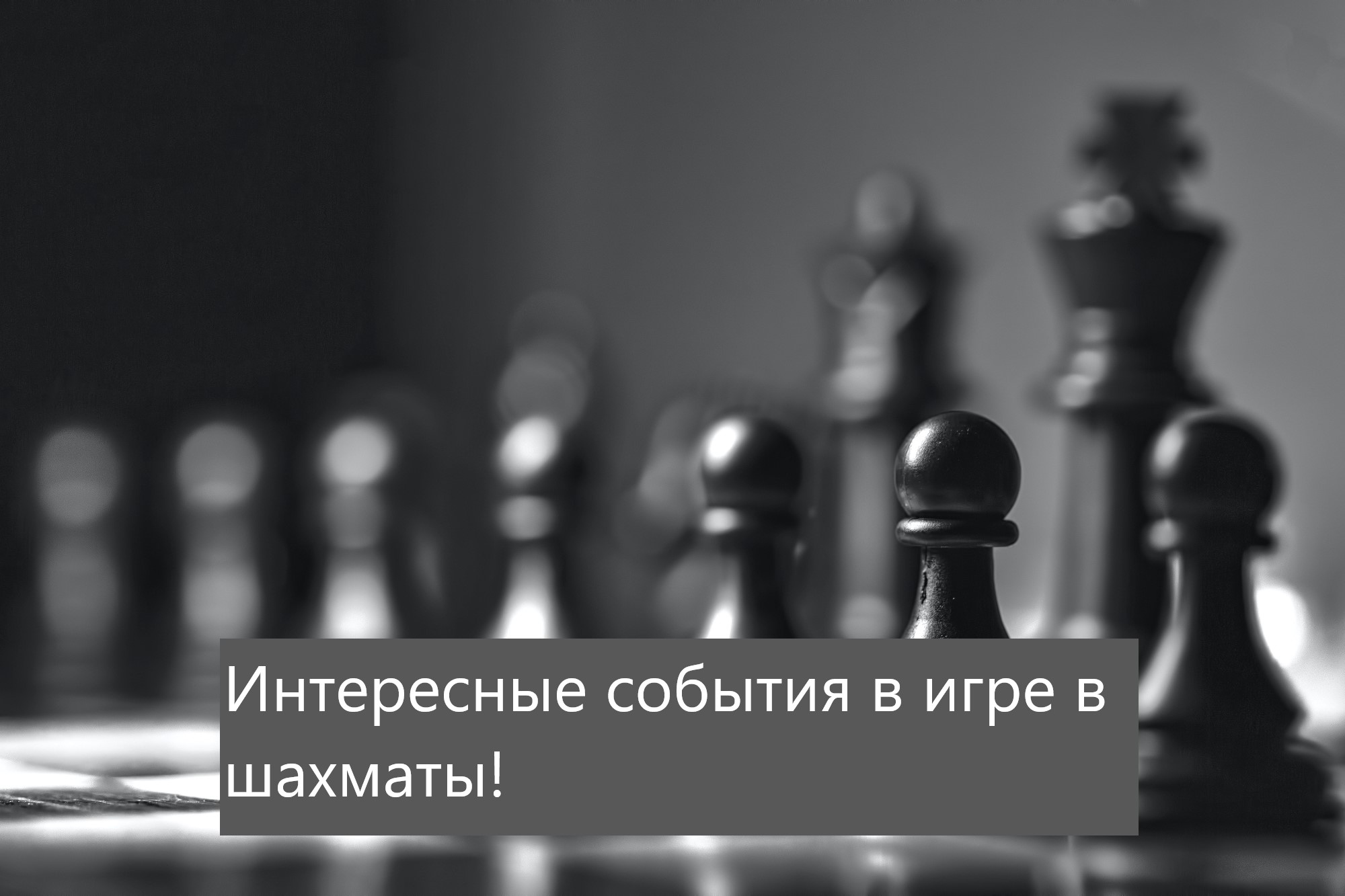 Шахматы интересная игра смотреть онлайн