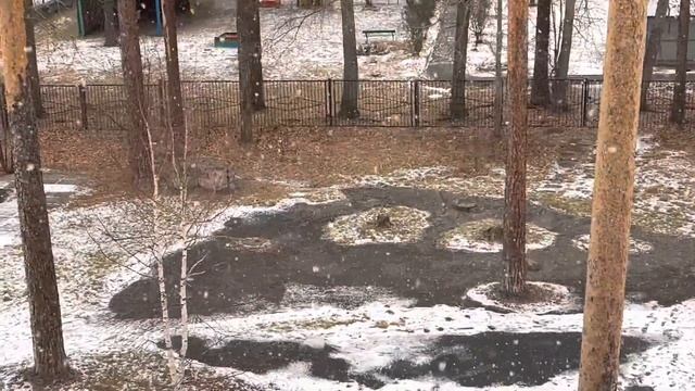 В снежном хороводе снежинки белые кружат❄️?❄️❄️ смотреть онлайн