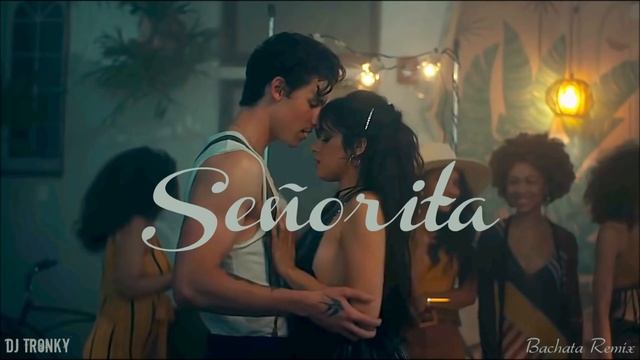 Shawn Mendes, Camila Cabello Señorita DJ Tronky Bachata Remix смотреть онлайн