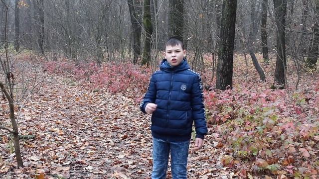 Прудников Федор стихотворение А.А. Фета «Учись у них – у дуба, у березы…» смотреть онлайн