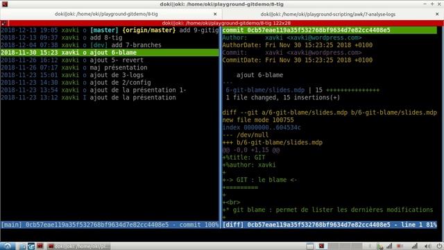 GIT - 9 : Découverte de TIG - outil de visualisation смотреть онлайн