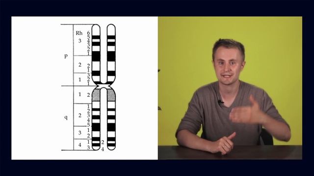 Поговорим о хромосомах и не только ! смотреть онлайн