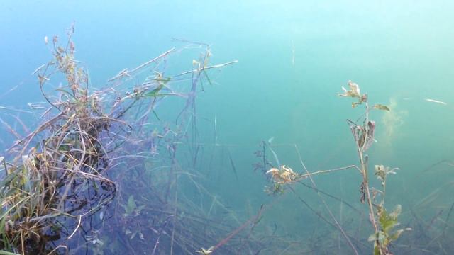 Озеро Гижгит, второй день поисков, раннее утро - 3 смотреть онлайн