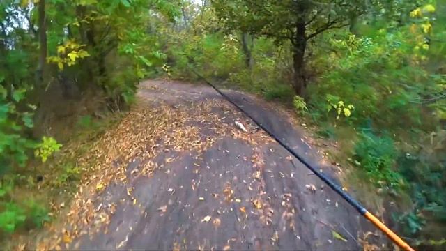 Осенняя щучка на поверхностные приманки смотреть онлайн