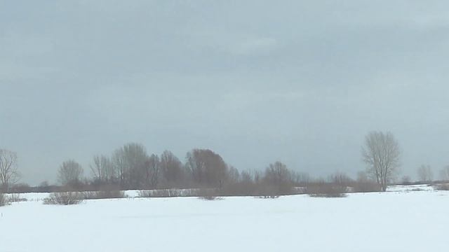 Кадницы Кудьма Озеро Грязное , щука жерлицы , мормышка окунь ...Разведка Боем ?