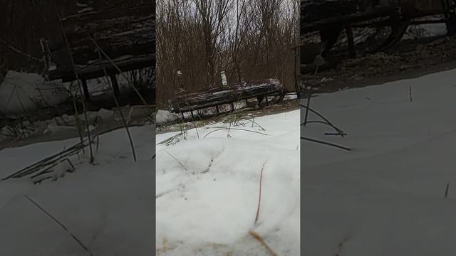 Поездка на мотособаке, 30 января, где снег?) смотреть онлайн