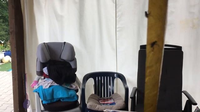 Ловушки для мух ,на 100% смотреть онлайн