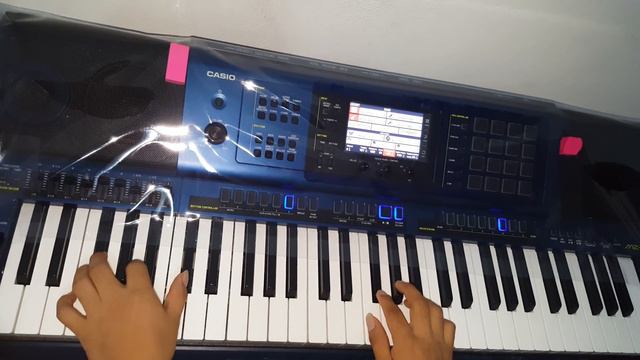 CASIO MZ-X500 MANANTIAL DE VIDA DEMOSTRACION смотреть онлайн