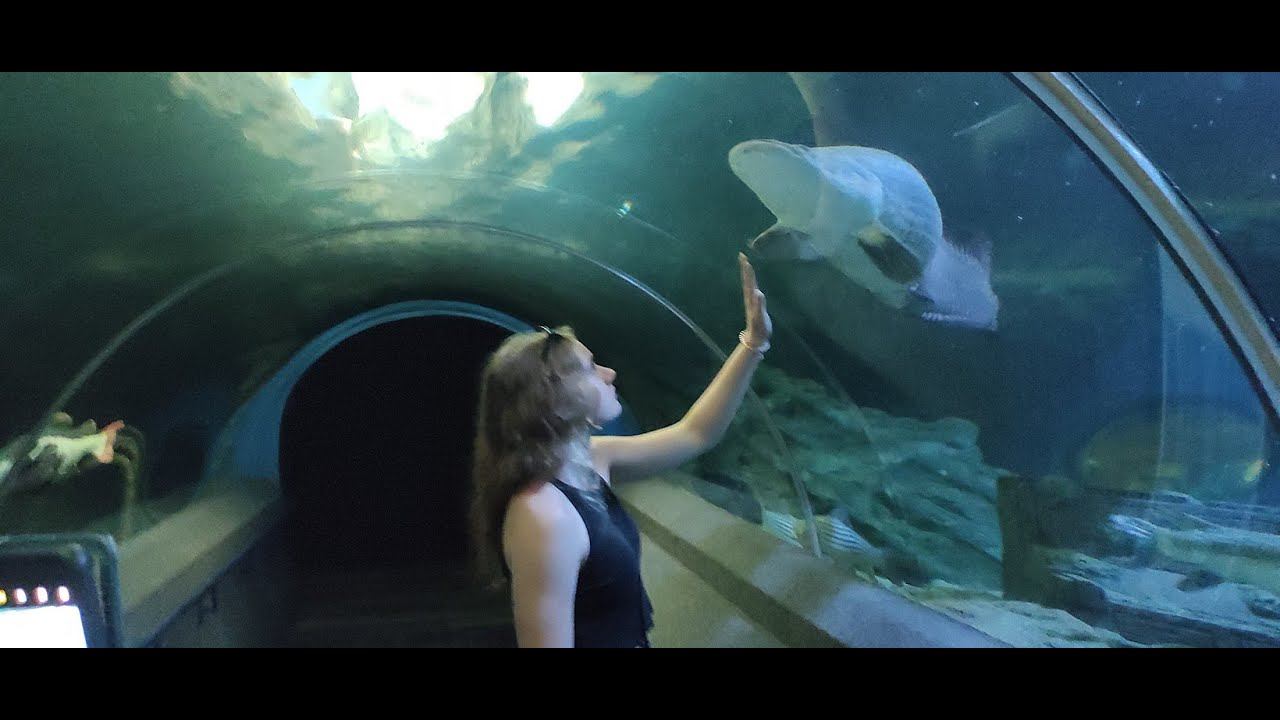 Тайланд,. Паттайя ,ОКЕАНАРИУМ смотреть онлайн