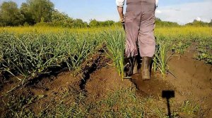 мототяпка "ВЖИК" рыхление и прополка междурядий