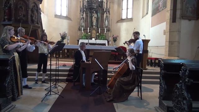 Georg Philipp Telemann (1681 - 1767) Violino concerto h-minor TWV51h2 Adagio + Vivace смотреть онлайн