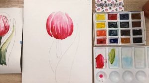 Рисуем тюльпан. Урок по акварели