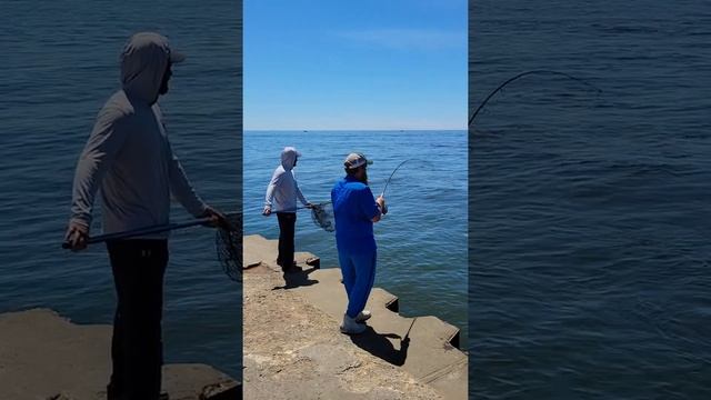 Поймал красавца! Рыбалка на Озере Мичиган смотреть онлайн