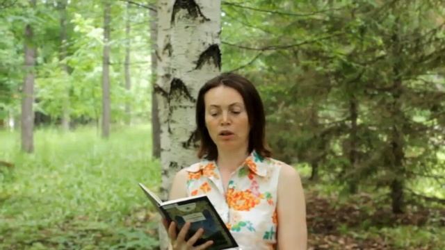 Читаем Фета смотреть онлайн