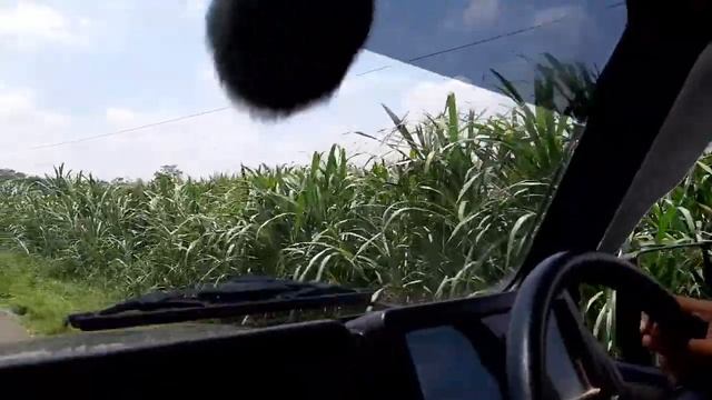 BELAJAR MOBIL PAKAI KATANA смотреть онлайн