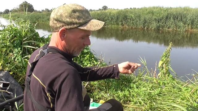 Фидер на реке Свислочь. Рыбалка в Беларуси. Fishing in Belarus. смотреть онлайн
